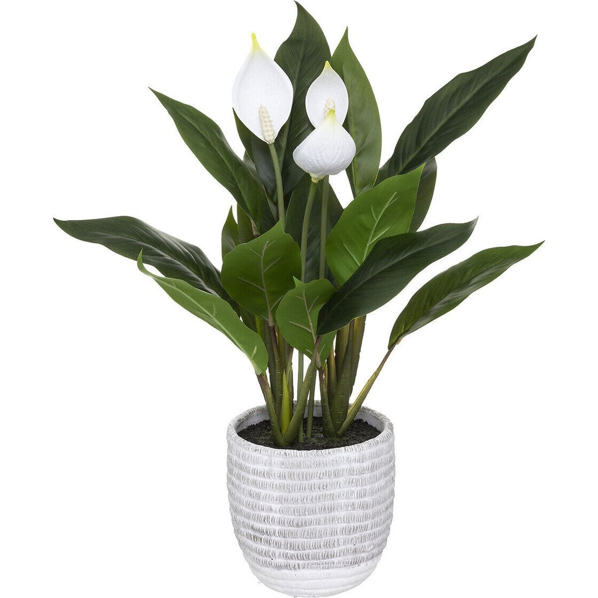 Atmosphera Kunstplant - Vredeslelie met pot - Ø30xH54cm - Groen