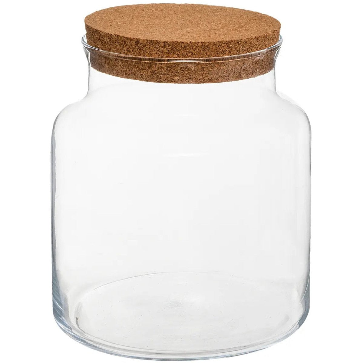 Atmosphera Pot/vaas van glas voor planten ecosysteem - deksel van kurk - D18 x H21 cm - terrarium