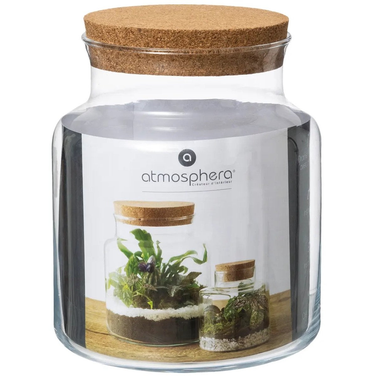 Atmosphera Pot/vaas van glas voor planten ecosysteem - deksel van kurk - D18 x H21 cm - terrarium